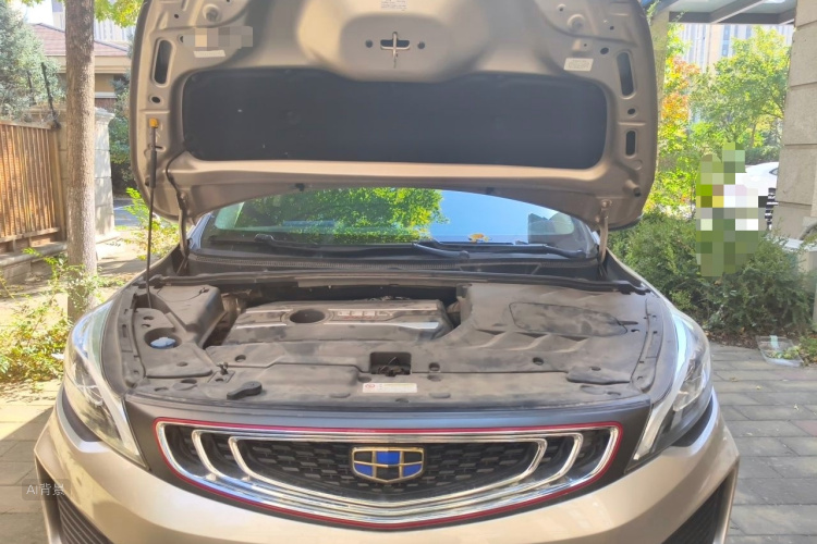 GEELY Emgrand GS 2019 car image #22