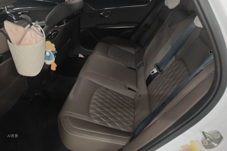 BYD Han 2020 immagine di auto #19