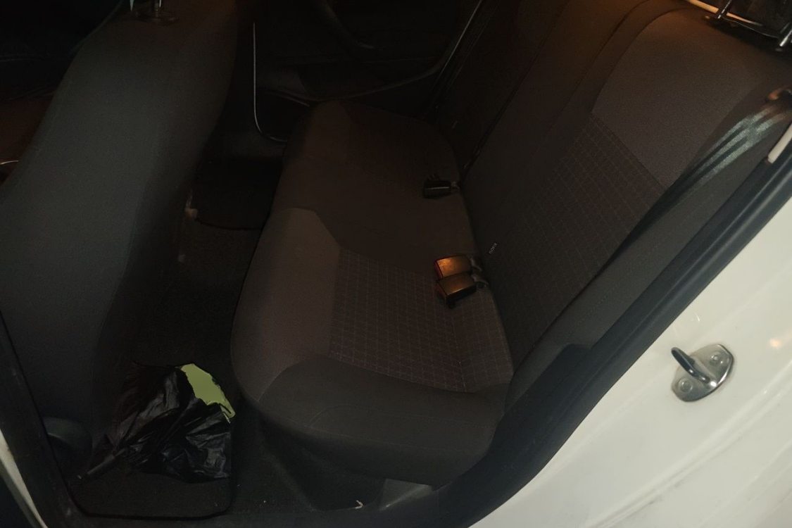 Volkswagen Polo 2016 car image #19