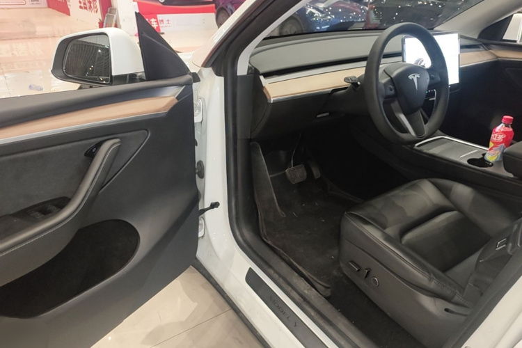 Tesla Model Y 2021 #16 Tesla Model Y 2021 car image #16