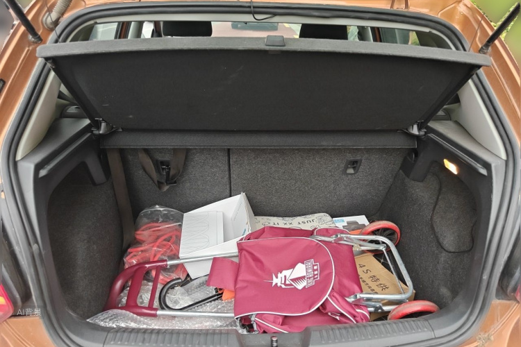 Volkswagen Polo 2015 car image #21