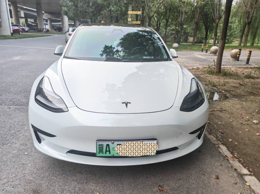 Tesla Model 3 2022 #2 Tesla Model 3 2022 car image #2