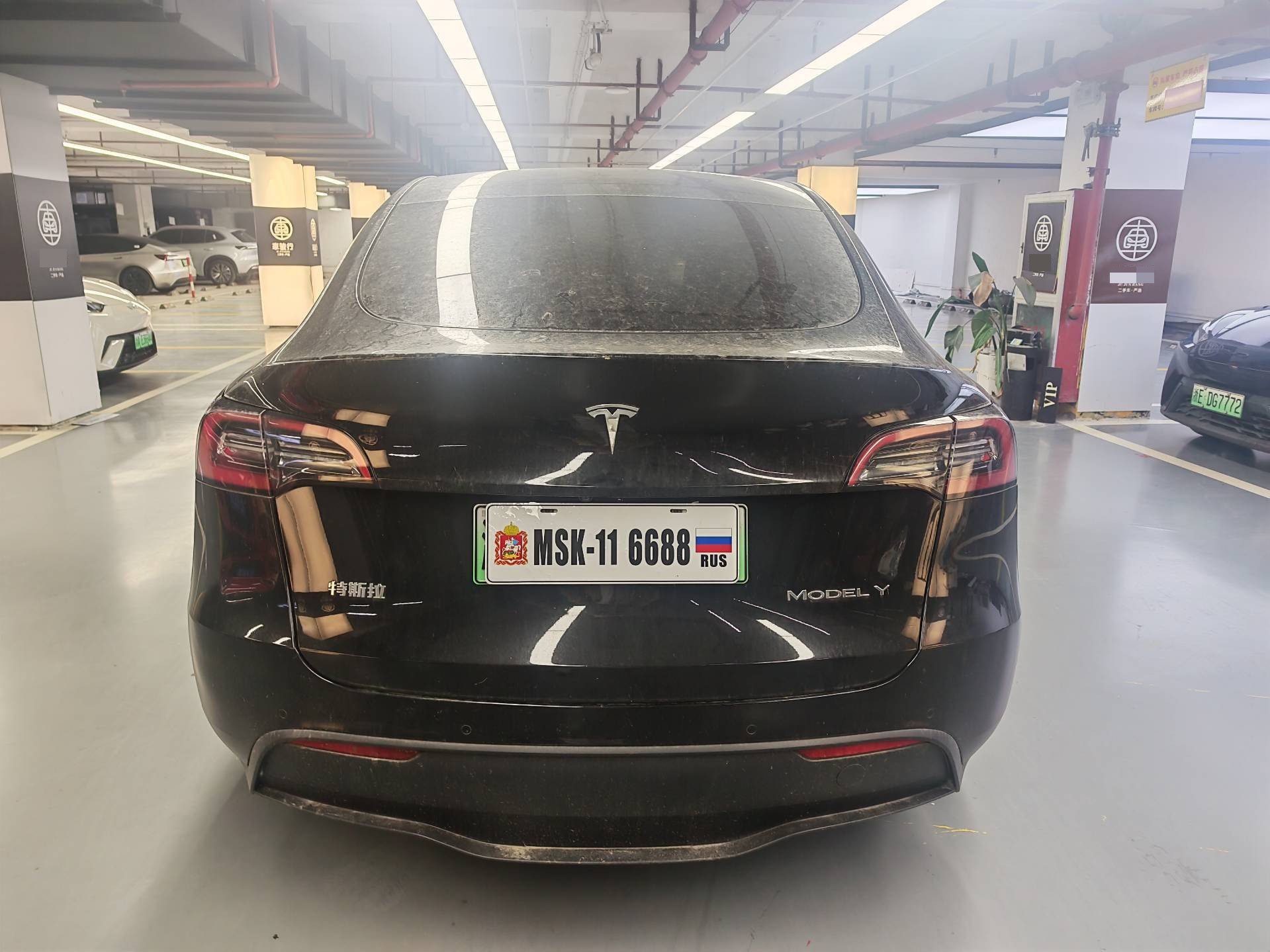 Tesla Model Y 2023 #4 Tesla Model Y 2023 صورة سيارة #4