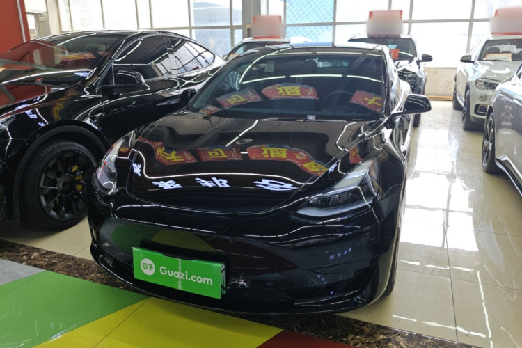 Tesla Model 3 2023 #2 Tesla Model 3 2023 car image #2