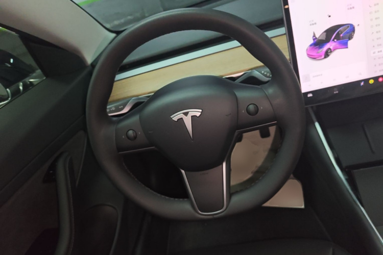 Tesla Model 3 2020 car image #11