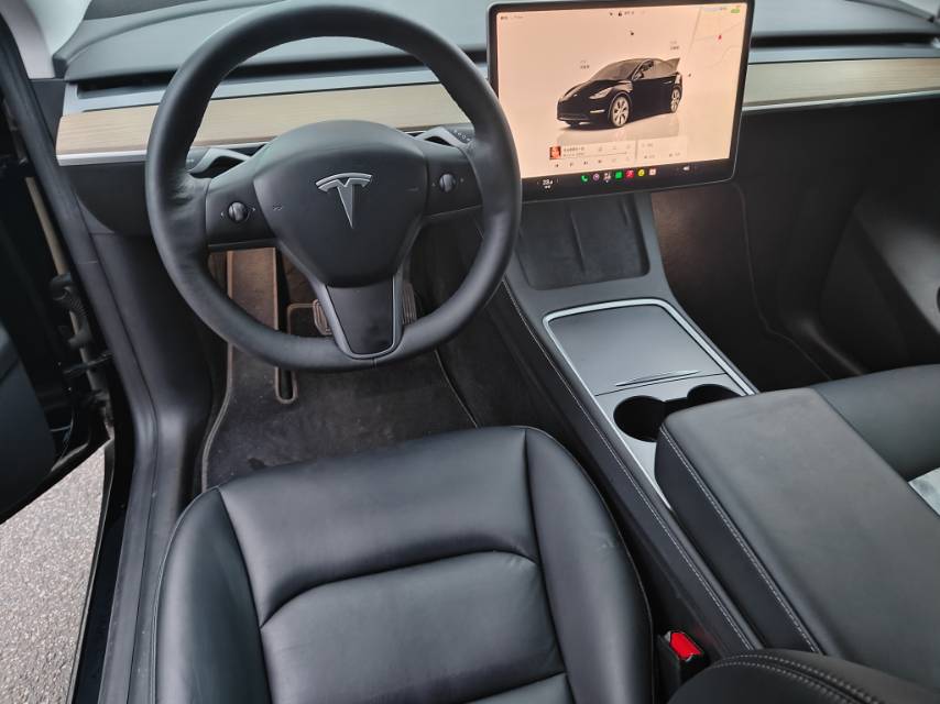 Tesla Model Y 2023 car image #9