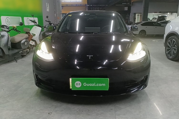 Tesla Model 3 2021 immagine di auto #3