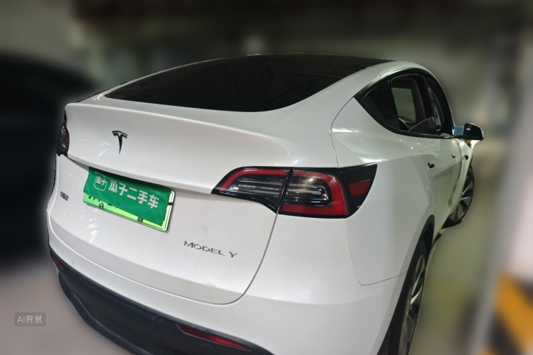 Tesla Model Y 2023 car image #7
