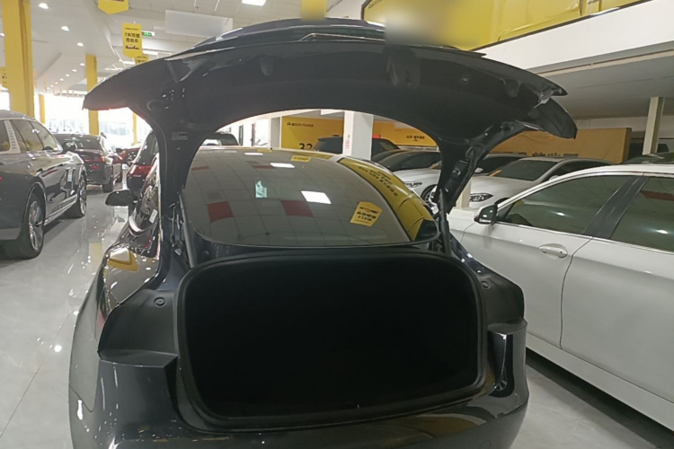 Tesla Model 3 2024 #19 Tesla Model 3 2024 car image #19