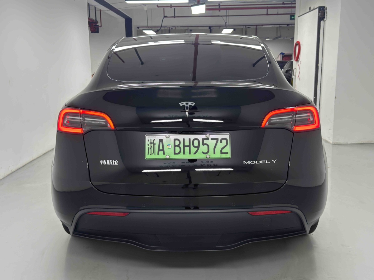 Tesla Model Y 1969 car image #5