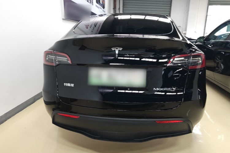 Tesla Model Y 2023 #6 Tesla Model Y 2023 car image #6
