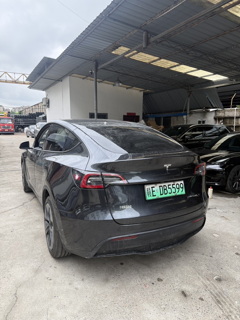 Tesla Model Y 2025 car image #4