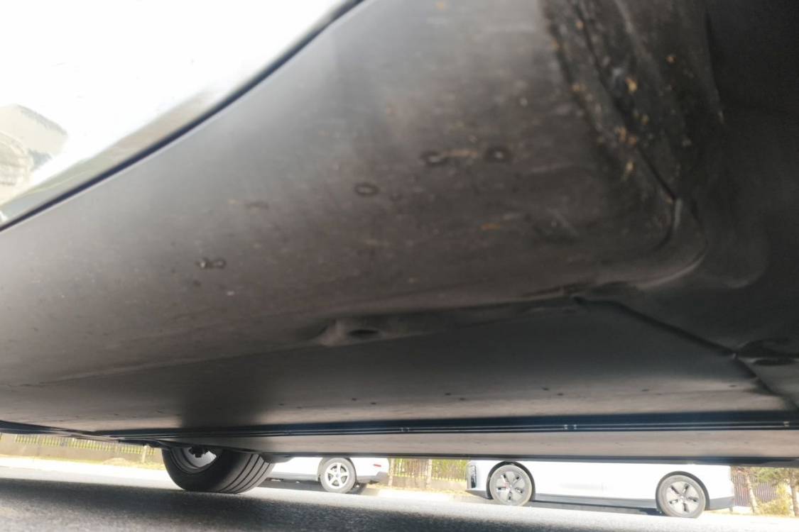 Tesla Model Y 2024 car image #15