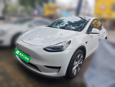 Tesla Model Y 2023 car image 