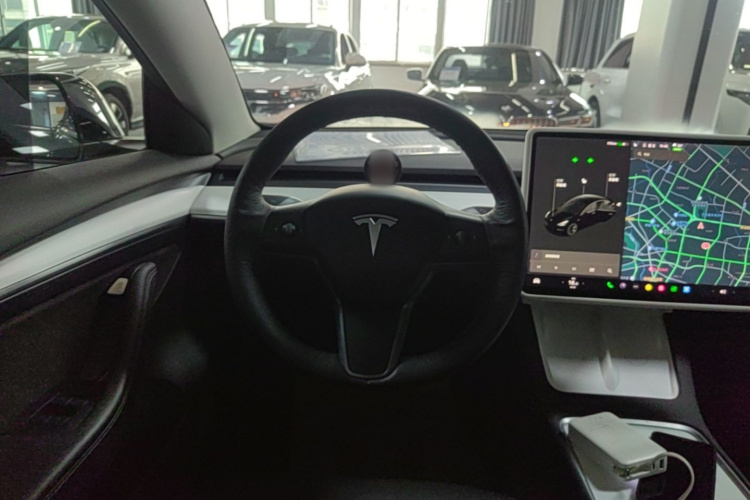 Tesla Model 3 2021 #15 Tesla Model 3 2021 car image #15