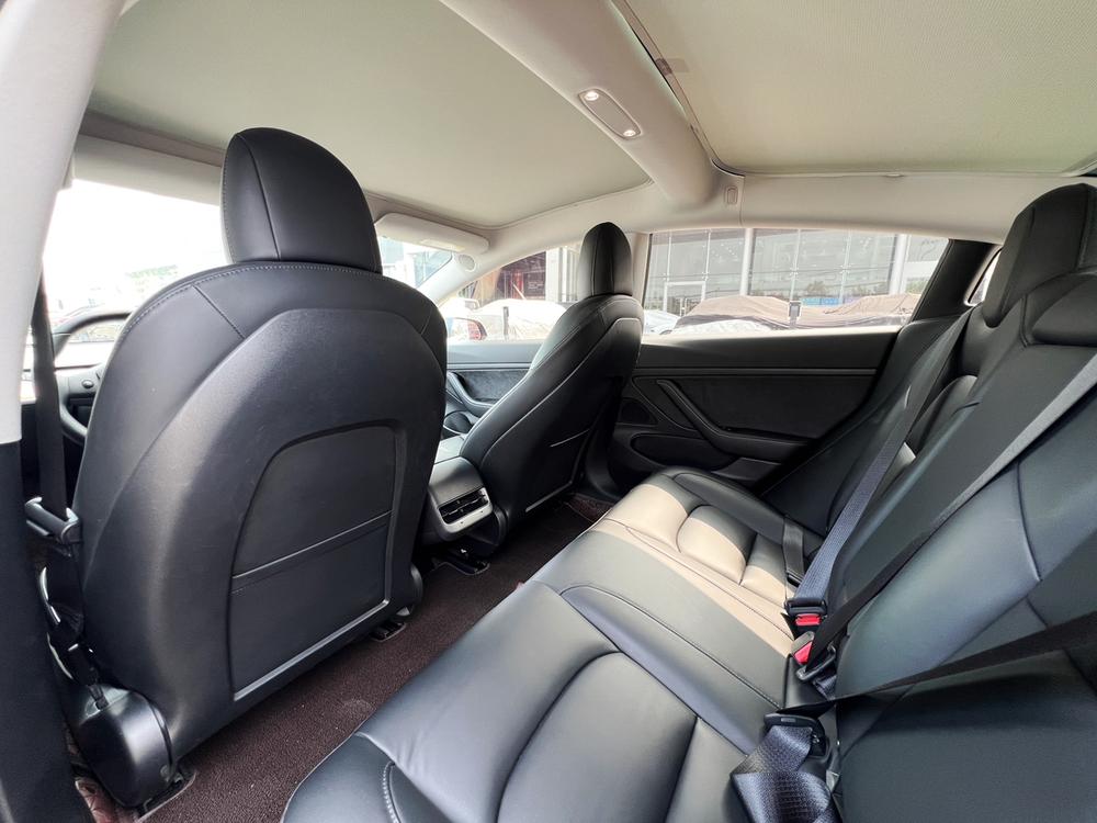 Tesla Model 3 2020 car image #10
