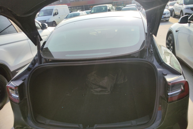 Tesla Model 3 2021 immagine di auto #19