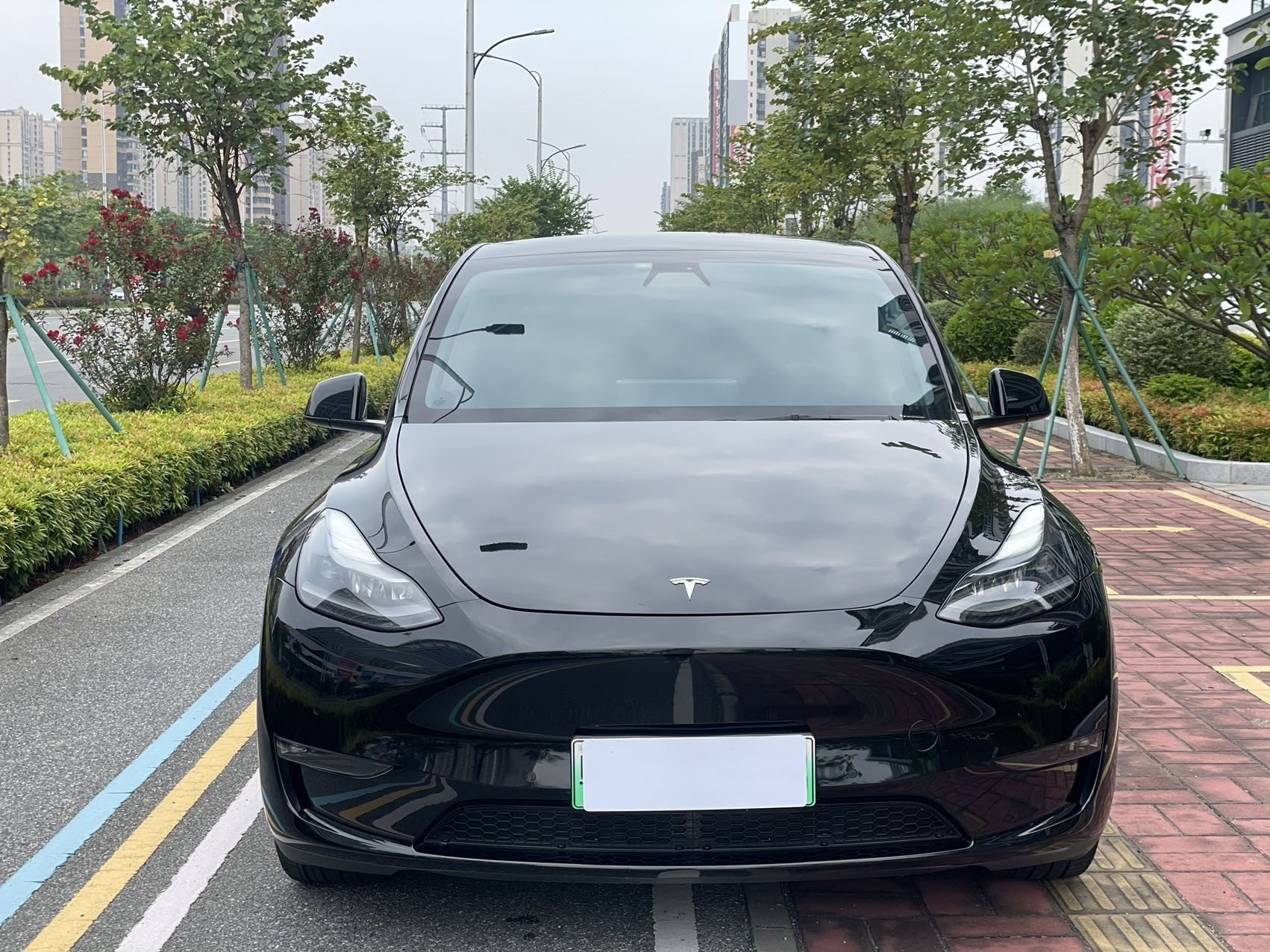Tesla Model Y 2021 #2 Tesla Model Y 2021 car image #2