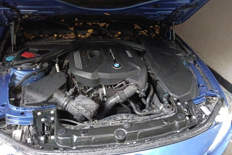 BMW 3 Series 2017 #22 BMW 3 Series 2017 car image #22