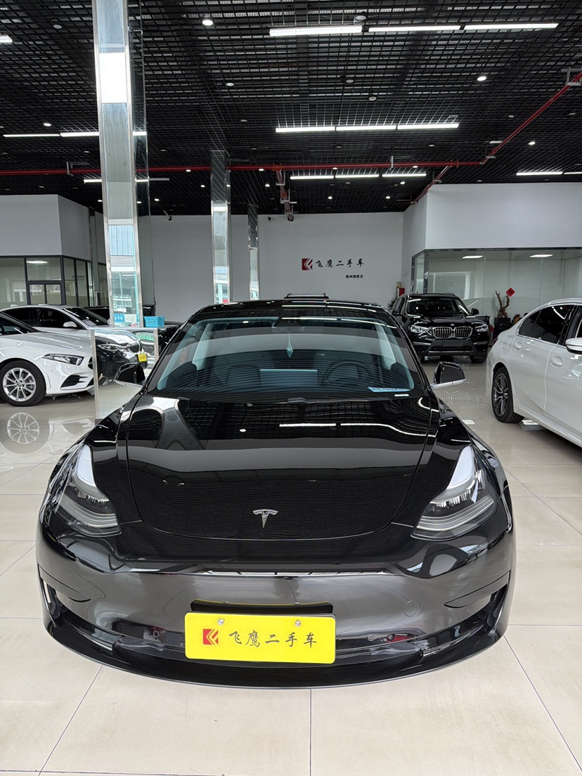 Tesla Model 3 2020 car image 