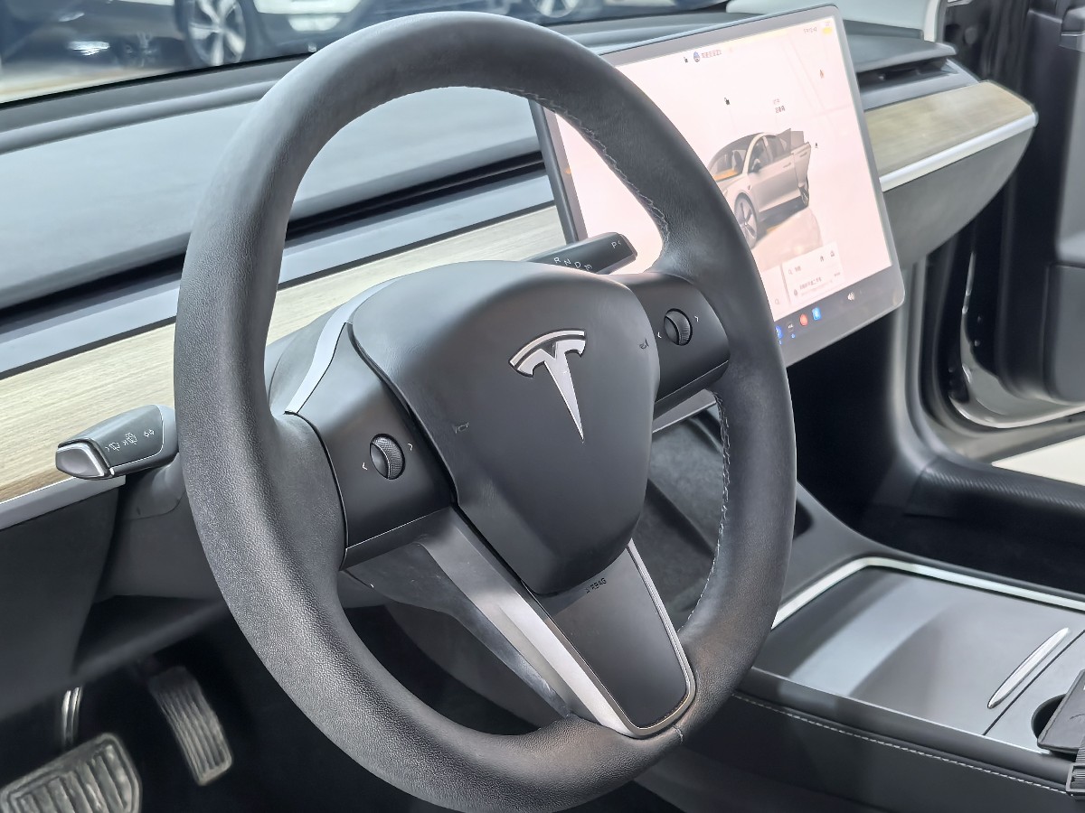 Tesla Model 3 2022 #12 Tesla Model 3 2022 car image #12