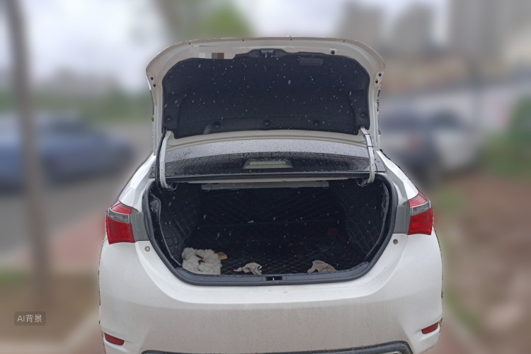 Toyota Corolla 2017 car image #21