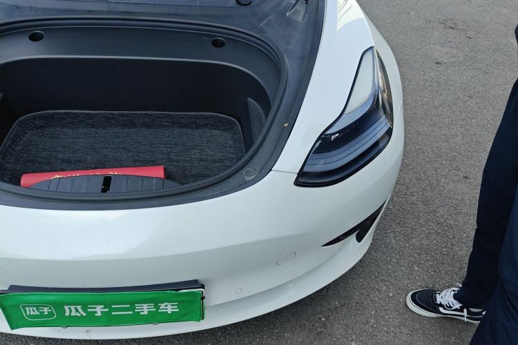 Tesla Model 3 2021 #23 Tesla Model 3 2021 car image #23