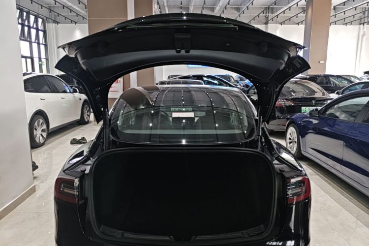 Tesla Model 3 2021 #19 Tesla Model 3 2021 car image #19