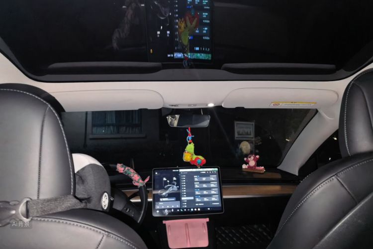 Tesla Model 3 2021 immagine di auto #20