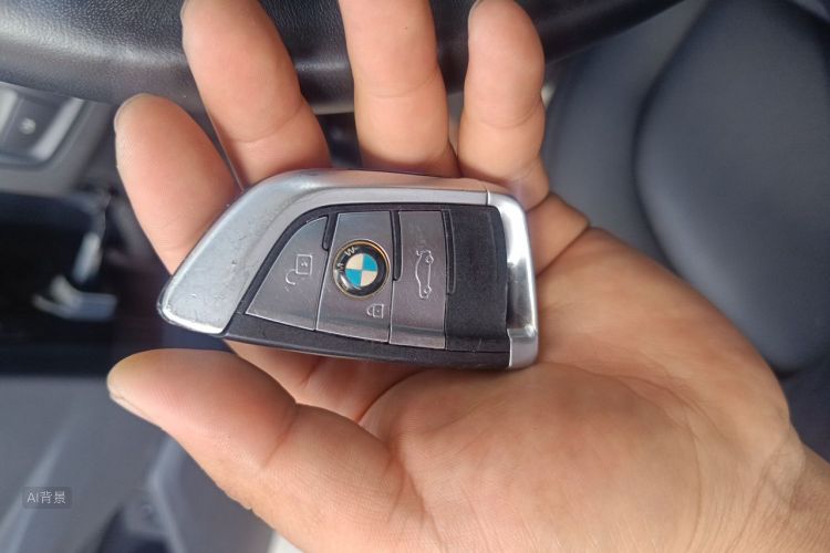 BMW X1 2017 car image #10