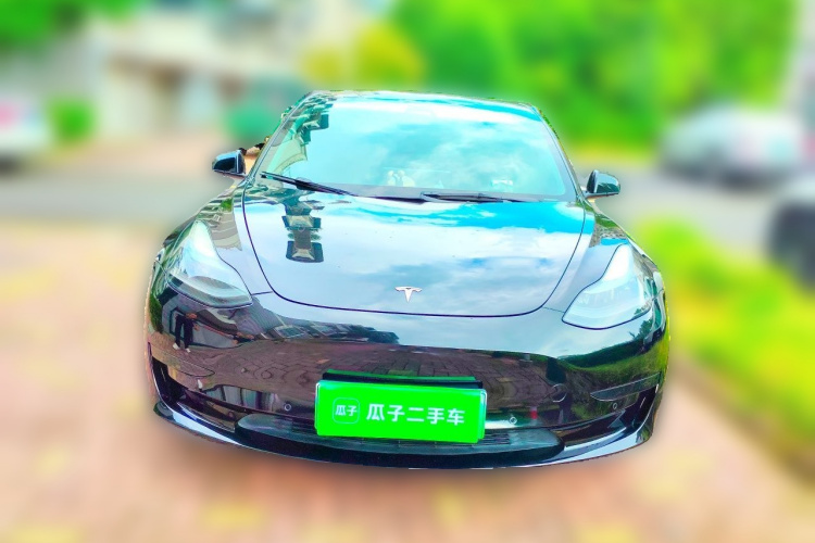 Tesla Model 3 2021 car image #3