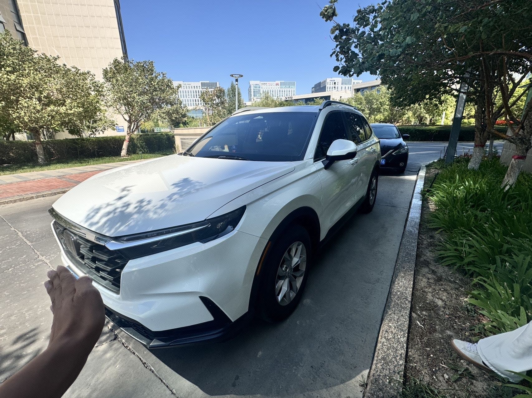 Honda CR-V 2023 car image 