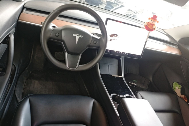 Tesla Model 3 2020 car image #11