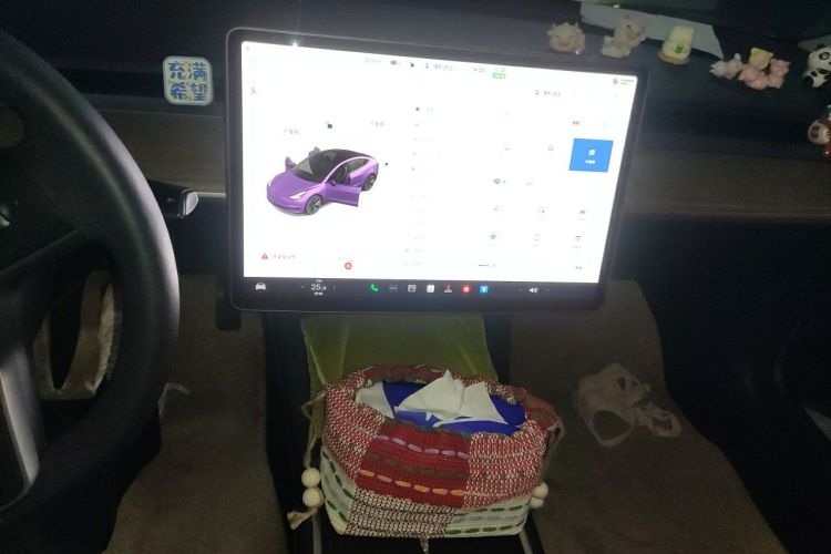 Tesla Model 3 2021 #13 Tesla Model 3 2021 car image #13