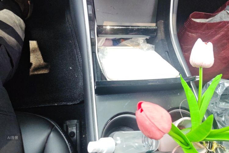 Tesla Model 3 2020 car image #16