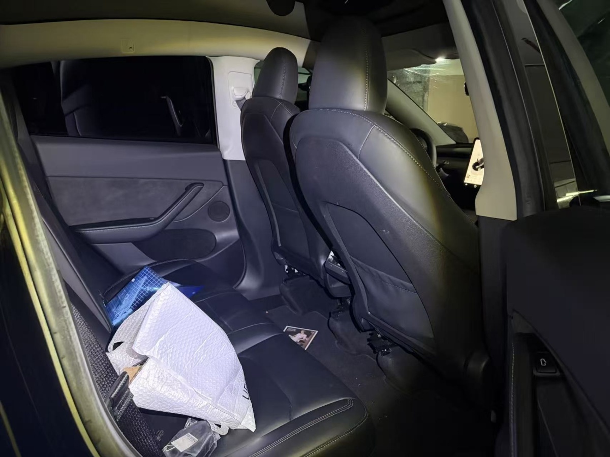Tesla Model Y 2022 car image #4