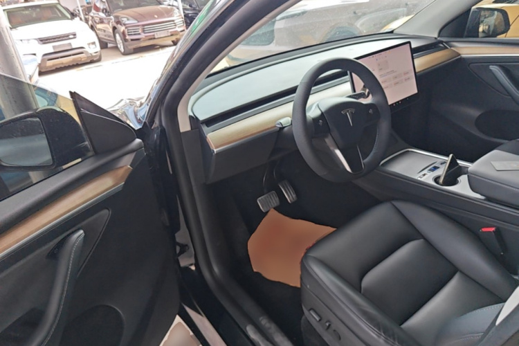 Tesla Model Y 2021 car image #12
