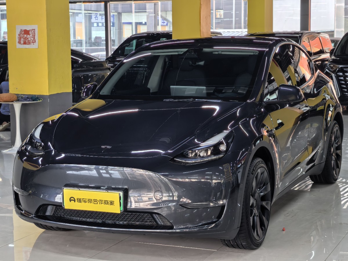 Tesla Model Y 2024 Tesla Model Y 2024 car image