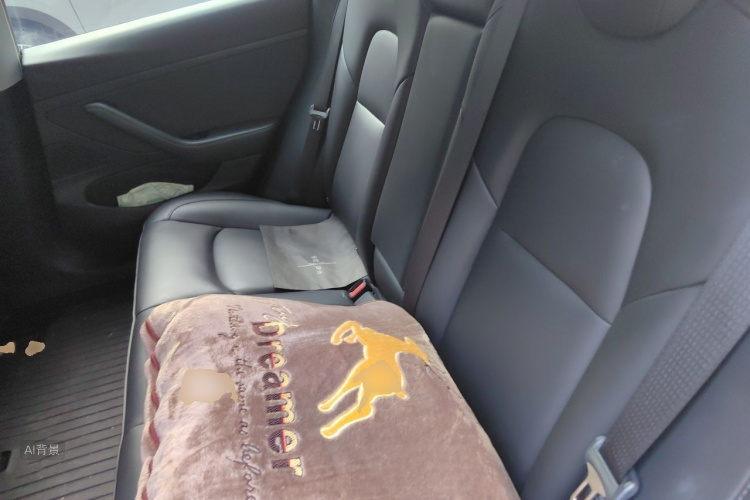 Tesla Model 3 2020 car image #19
