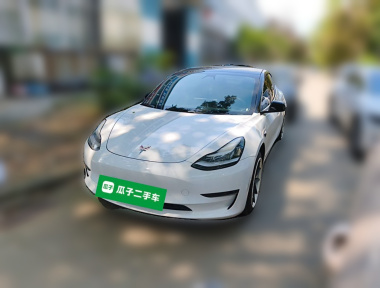 Tesla Model 3 2020 Tesla Model 3 2020 car image