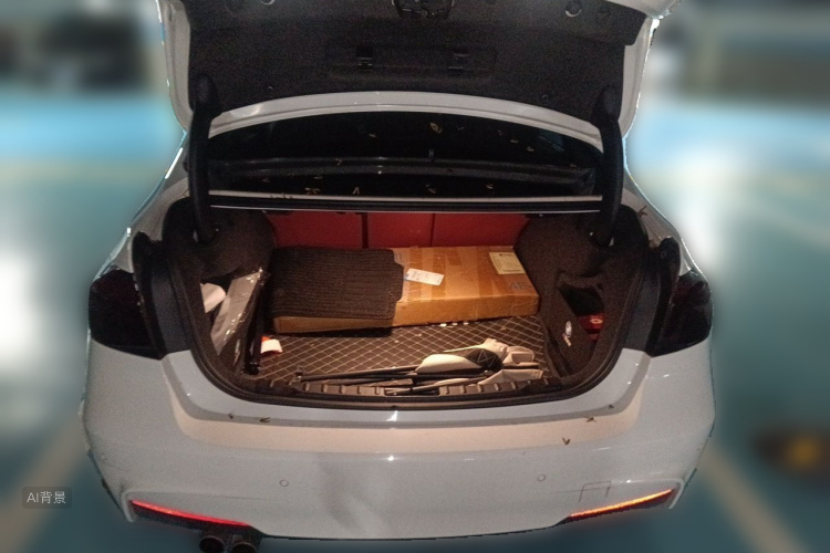 BMW 3 Series 2017 car image #21