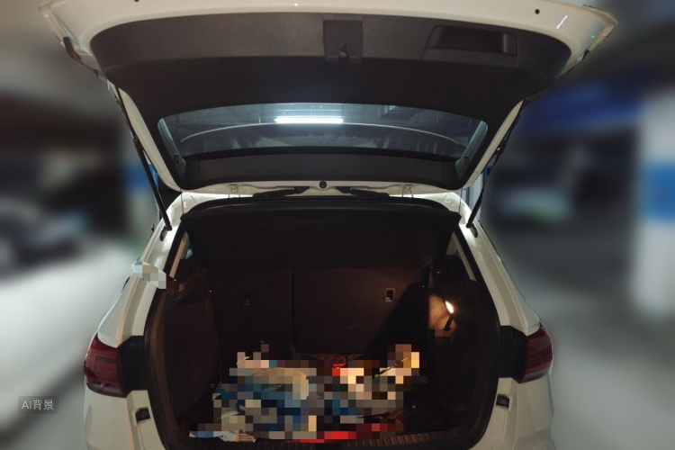 Volkswagen Tharu 2020 car image #21