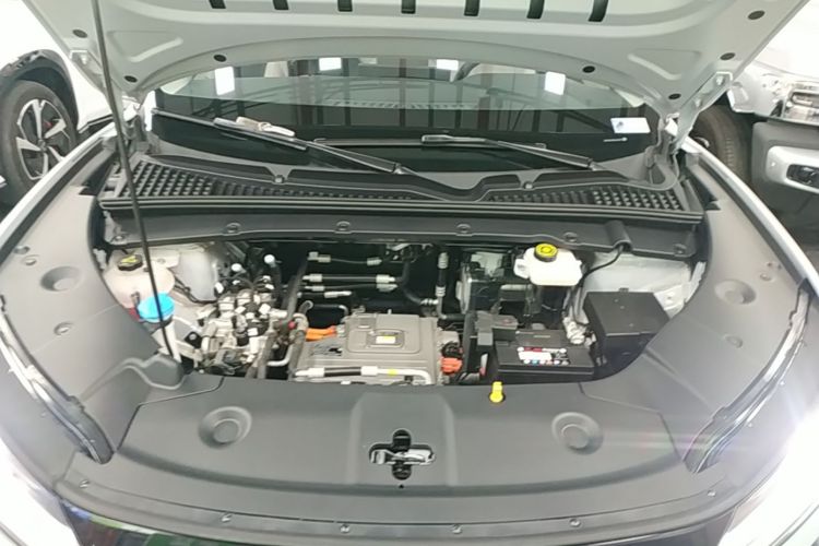 BYD YuanUP 2024 immagine di auto #22