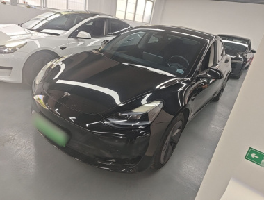 Tesla Model 3 2022 Tesla Model 3 2022 car image