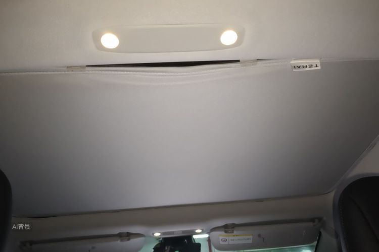 Tesla Model 3 2020 immagine di auto #20