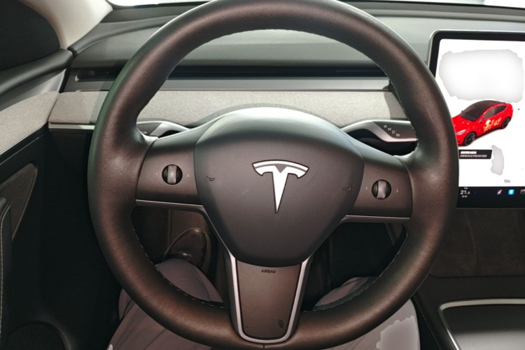Tesla Model Y 2022 car image #15