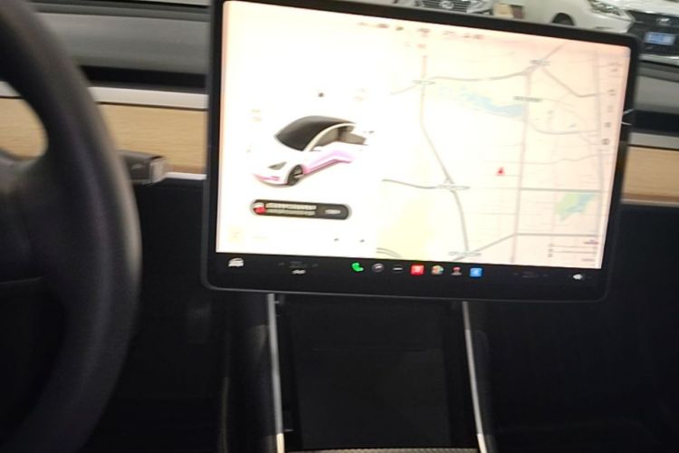 Tesla Model 3 2020 car image #15