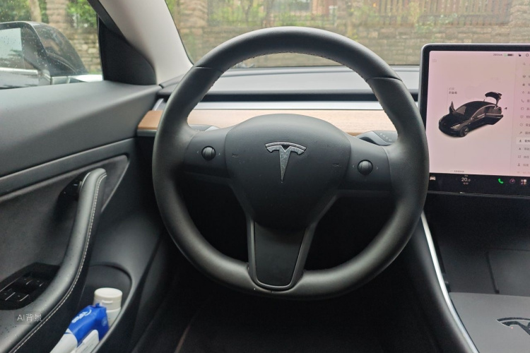 Tesla Model 3 2020 car image #12