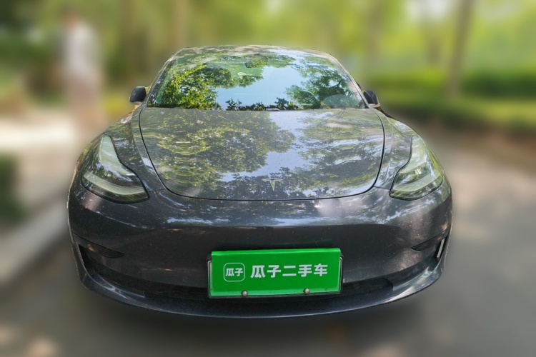 Tesla Model 3 2020 car image #3