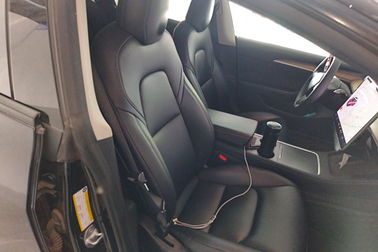 Tesla Model 3 2021 car image #24